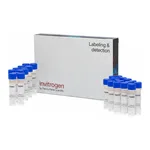 Thermo Fisher Scientific 5-(and-6)-Carboxy SNARF-1, Acetoxymethyl Ester, Acetate, 20 x 50ug