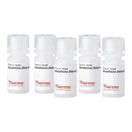 Thermo Fisher Scientific Glutathione
