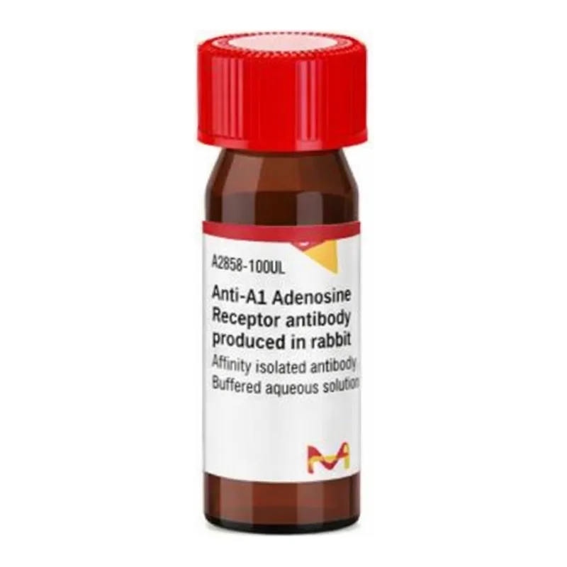 Merck Anti-A1 Adenosine Receptor antibody produced in rabbit