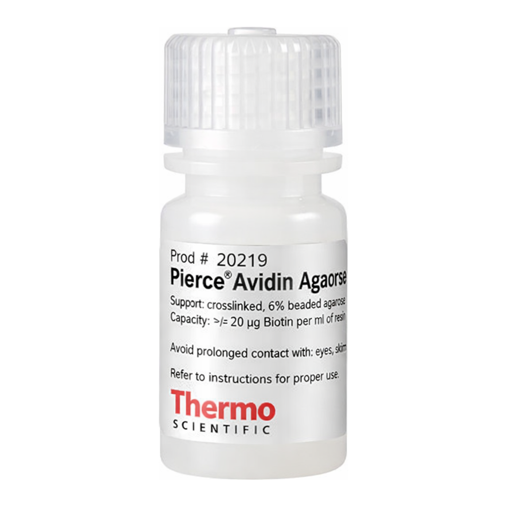 Thermo Fisher Scientific Pierce Avidin Agarose, 5 mL
