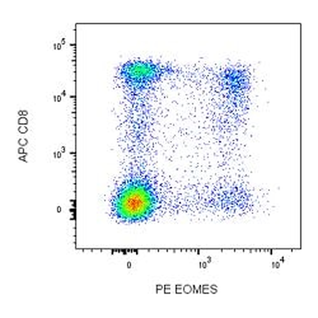 BD PE Mouse Anti-EOMES