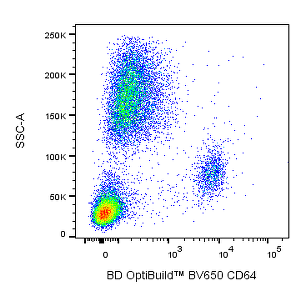 BD BV650 Mouse Anti-Human CD64