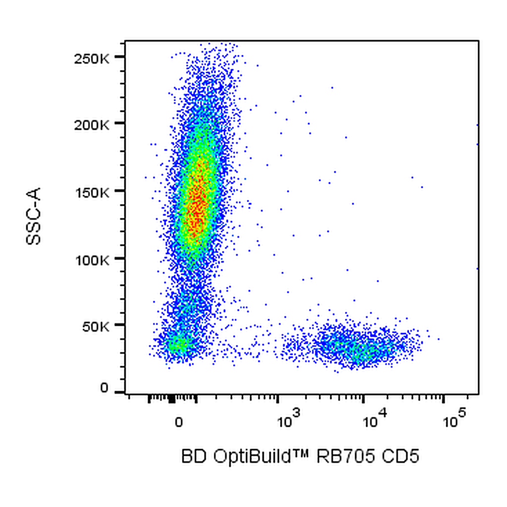 BD RB705 Mouse Anti-Human CD5