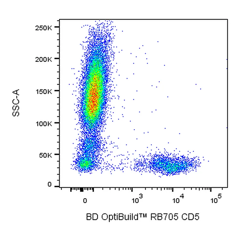 BD RB705 Mouse Anti-Human CD5