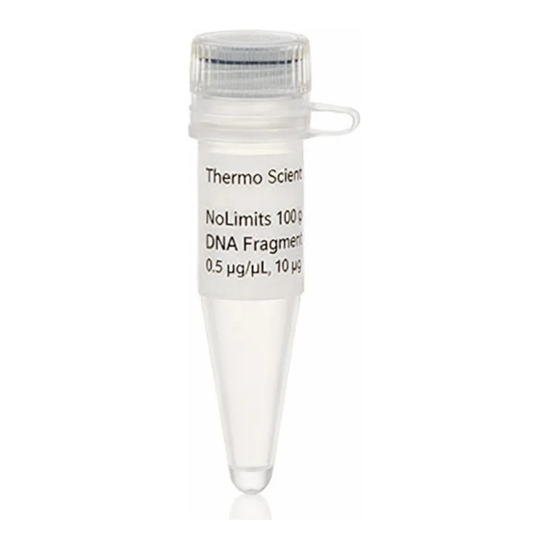 Thermo Fisher Scientific NoLimits 20000 bp DNA Fragment