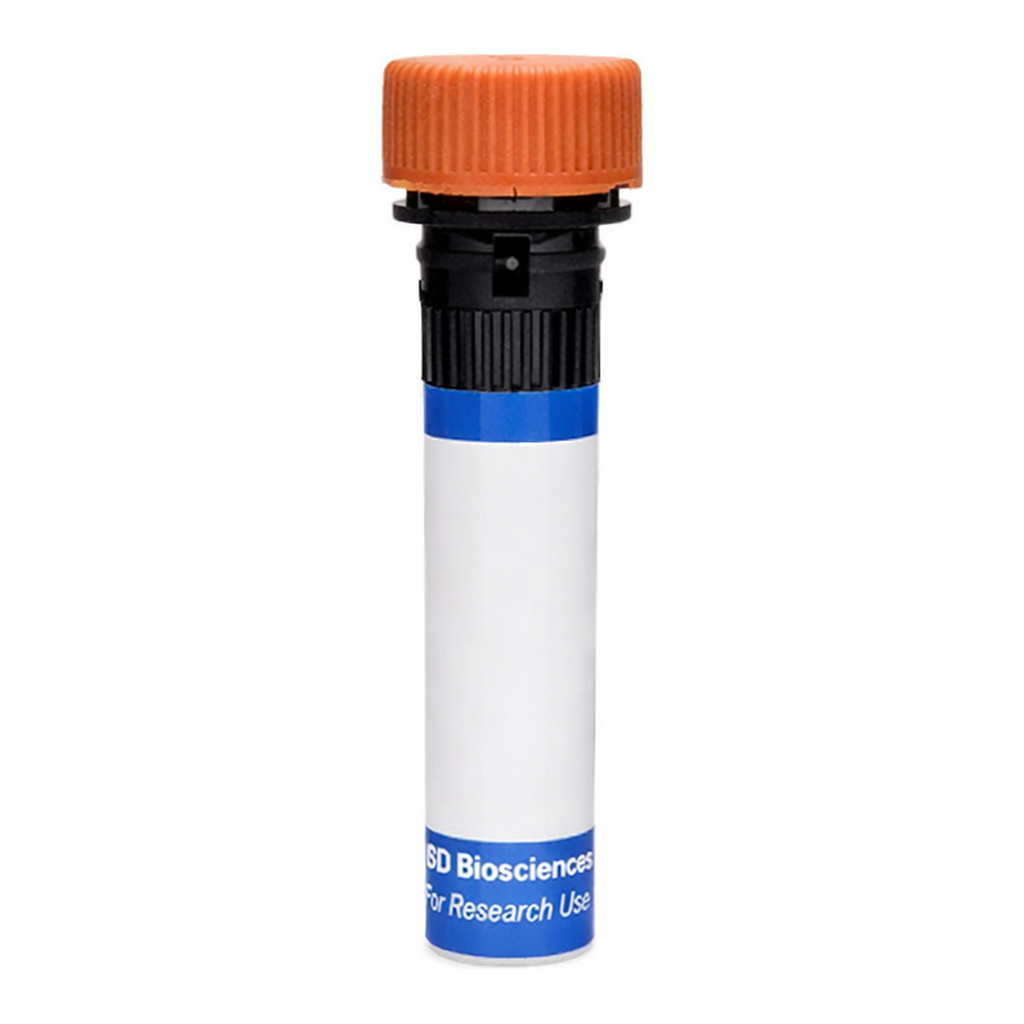 BD RB613 Mouse Anti-Biotin