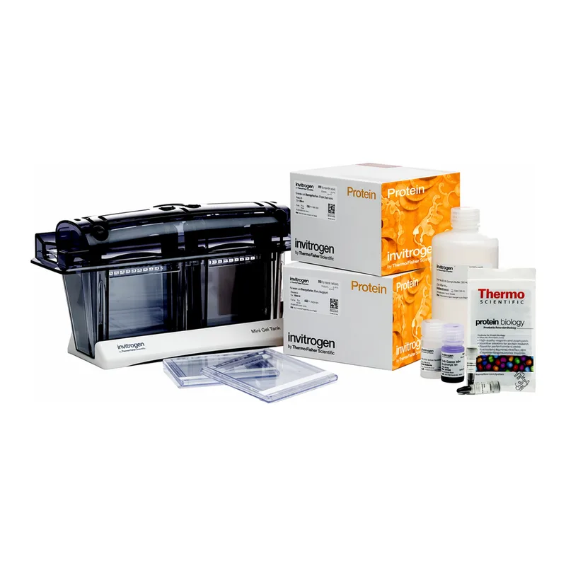 Thermo Fisher Scientific Novex Tris-Glycine Welcome Pack, 10%, 10-well, 1 Welcome Pk. kit