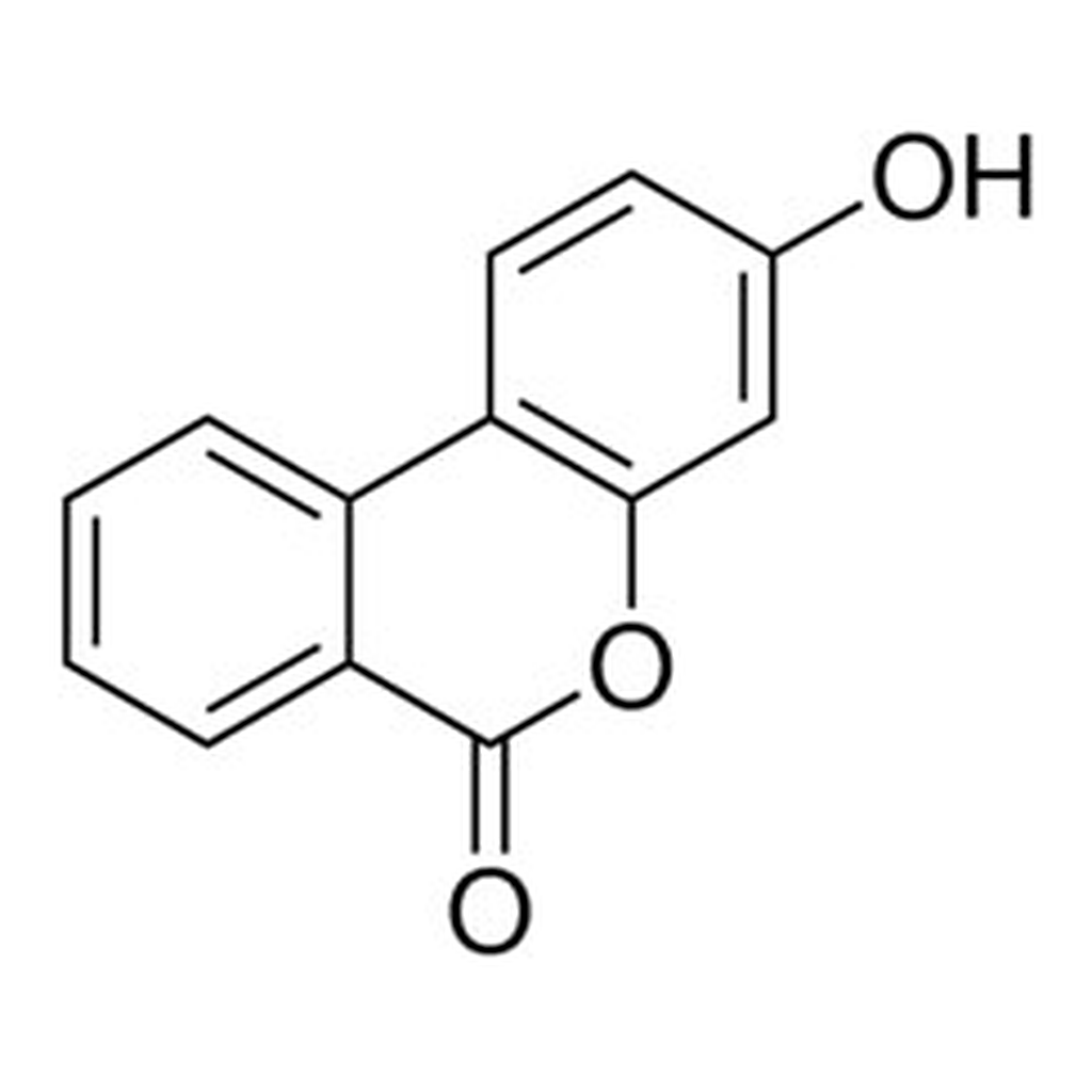 Merck UROLITHIN B