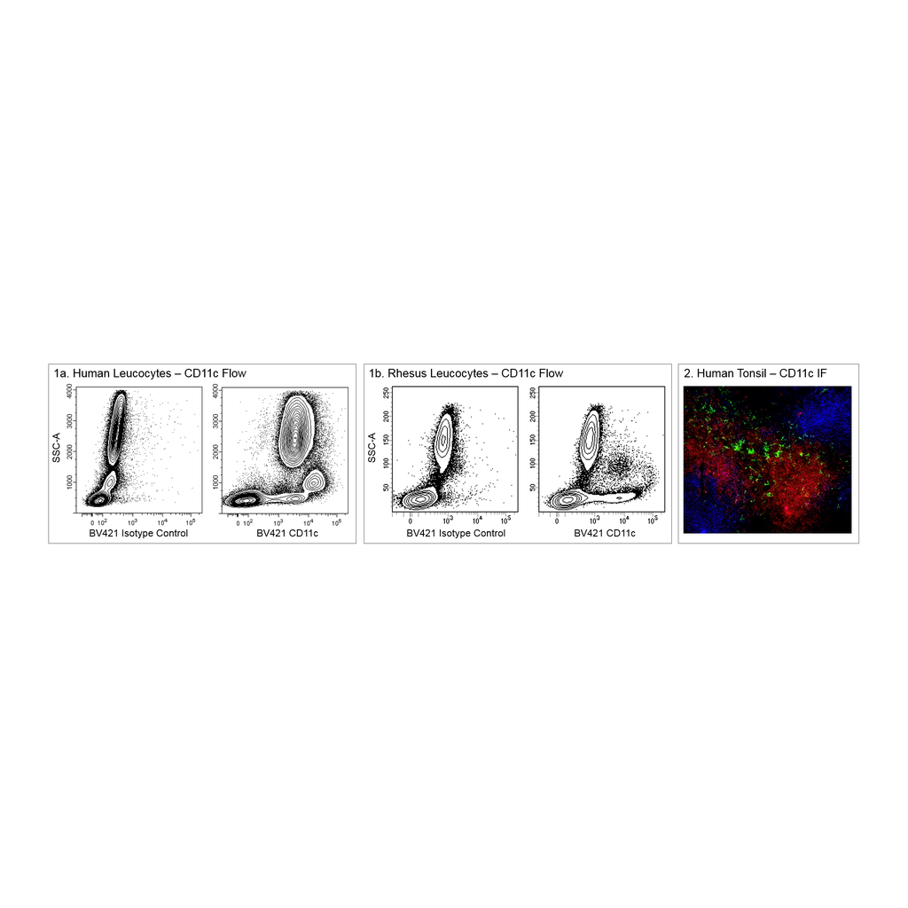 BD BV421 Mouse Anti-Human CD11c
