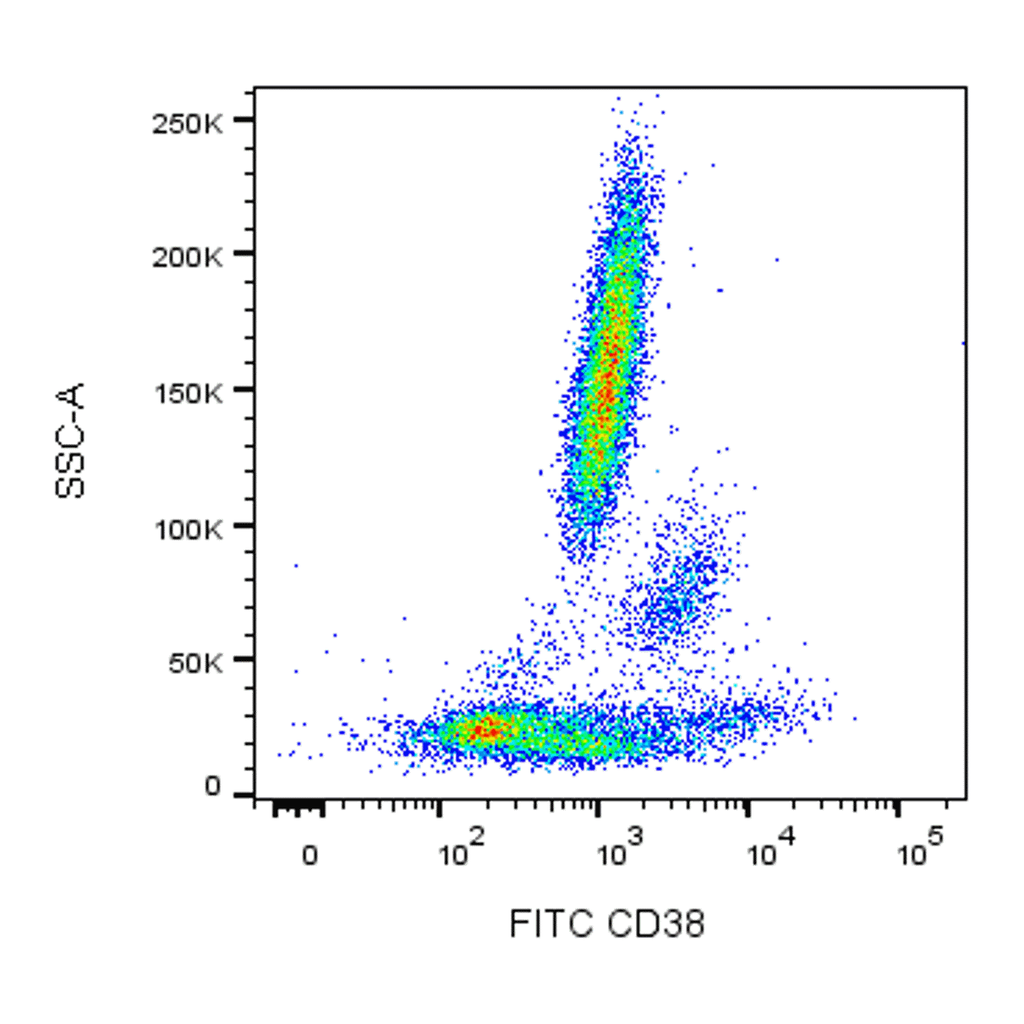 BD FITC Mouse Anti-Human CD38