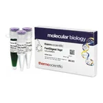 Thermo Fisher Scientific FastDigest VspI