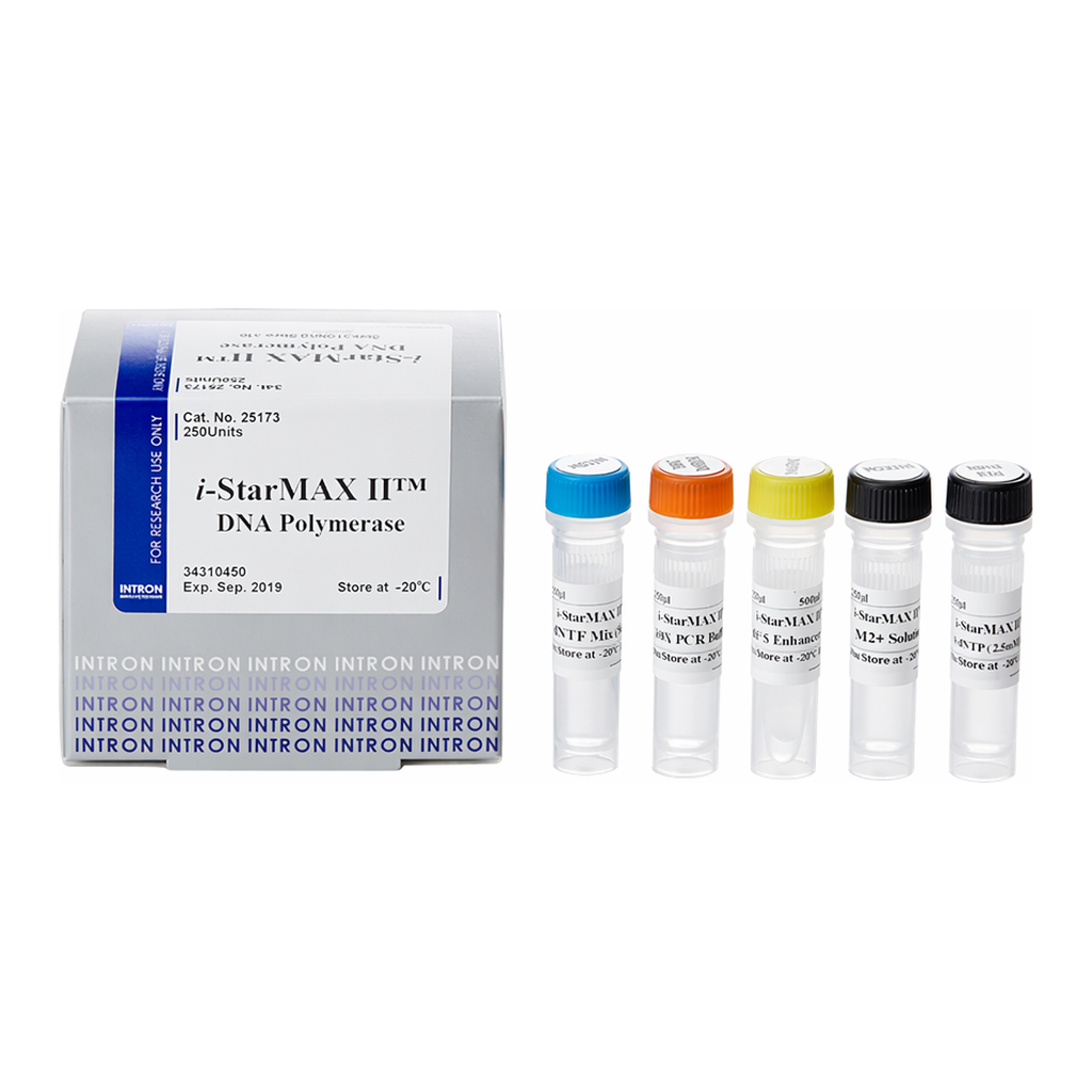 Intron i-StarMAX™Ⅱ DNA Polymerase