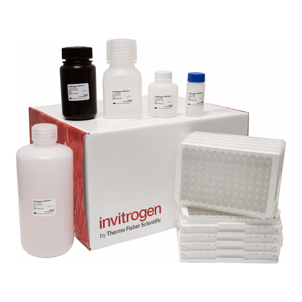 Thermo Fisher Scientific Support Pack Plus