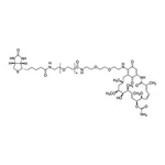 Merck GELDANAMYCIN-BIOTIN
