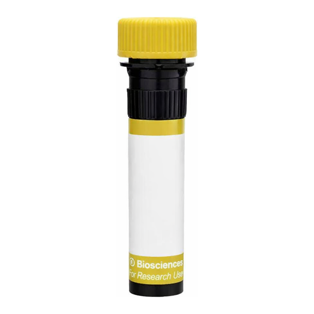 BD RY586 Mouse Anti-Human CD46