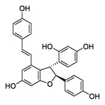 Merck VINIFERIN, >=95% (LC/MS-ELSD)