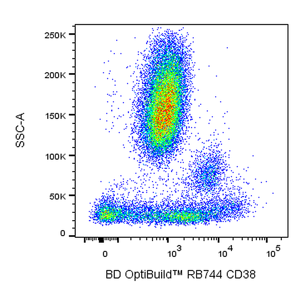 BD RB744 Mouse Anti-Human CD38