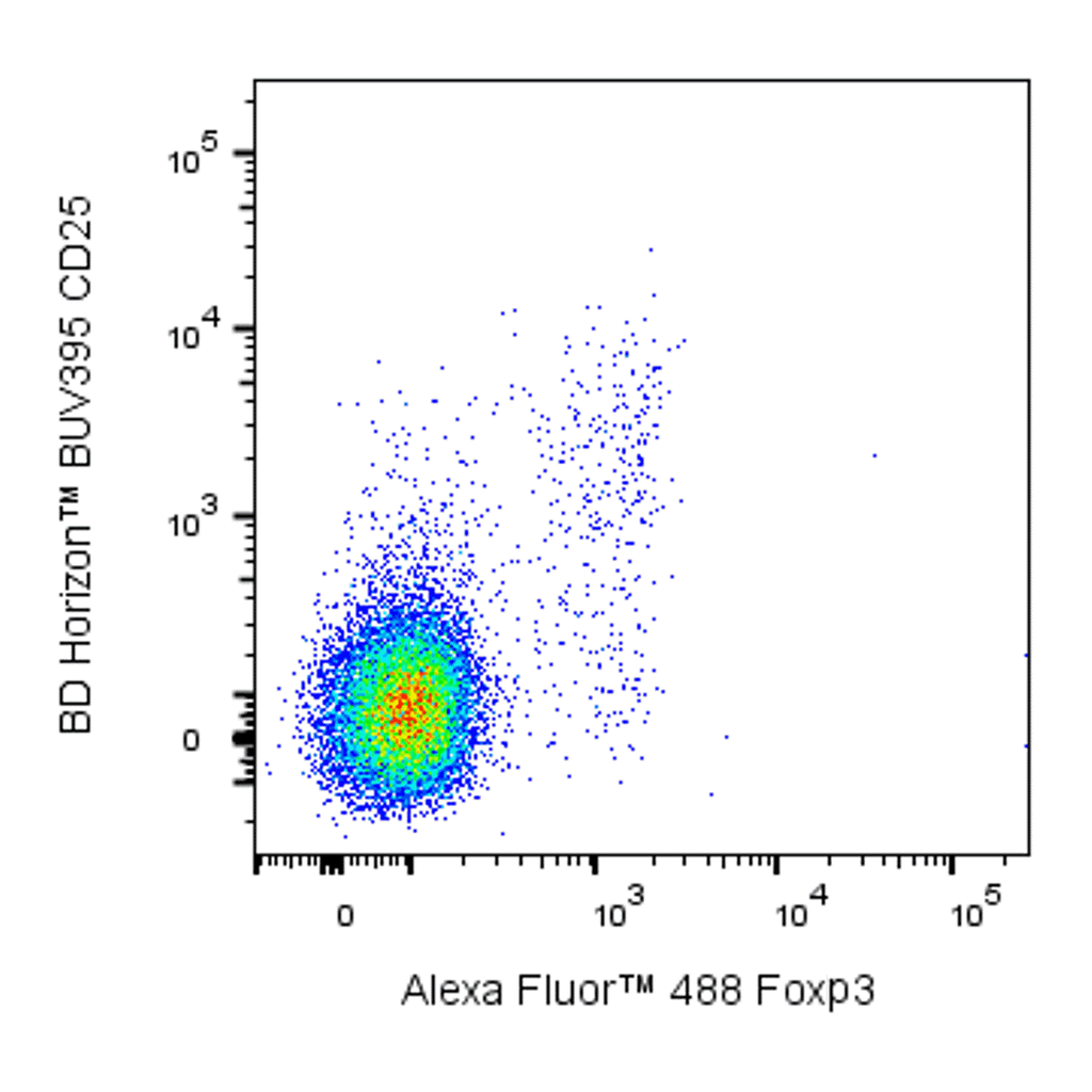 BD Alexa Fluor 488 Mouse Anti-Mouse Foxp3