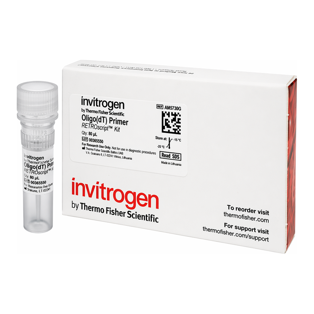 Thermo Fisher Scientific Oligo (dT) Primer (50 μM)