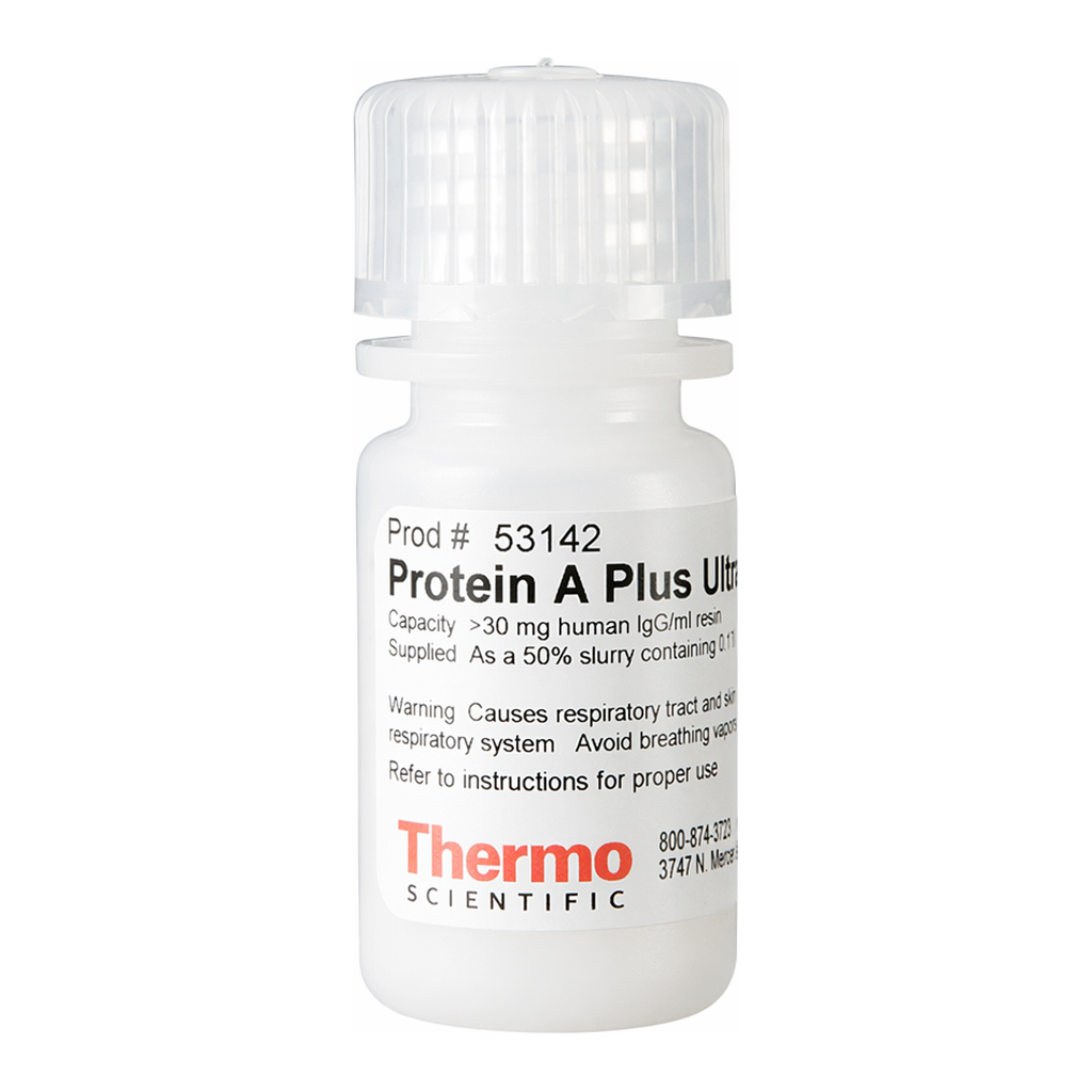 Thermo Fisher Scientific Pierce Protein A Plus UltraLink Resin