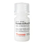 Thermo Fisher Scientific Pierce Protein A Plus UltraLink Resin