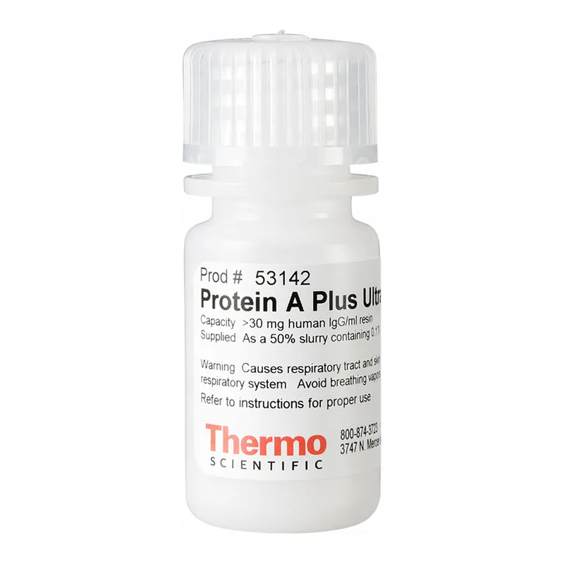 Thermo Fisher Scientific Pierce Protein A Plus UltraLink Resin
