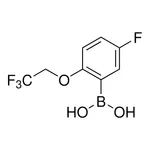 Merck 5-Fluoro-2-(2,2,2-trifluoroethoxy)phenylboronic acid