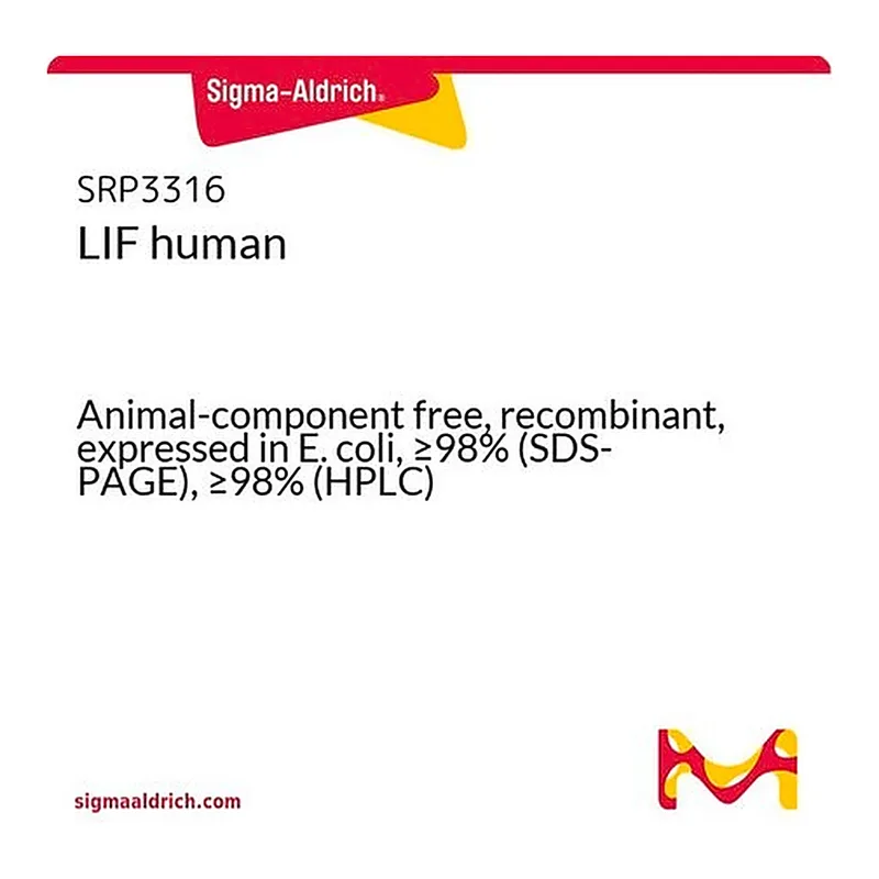 Merck LIF human