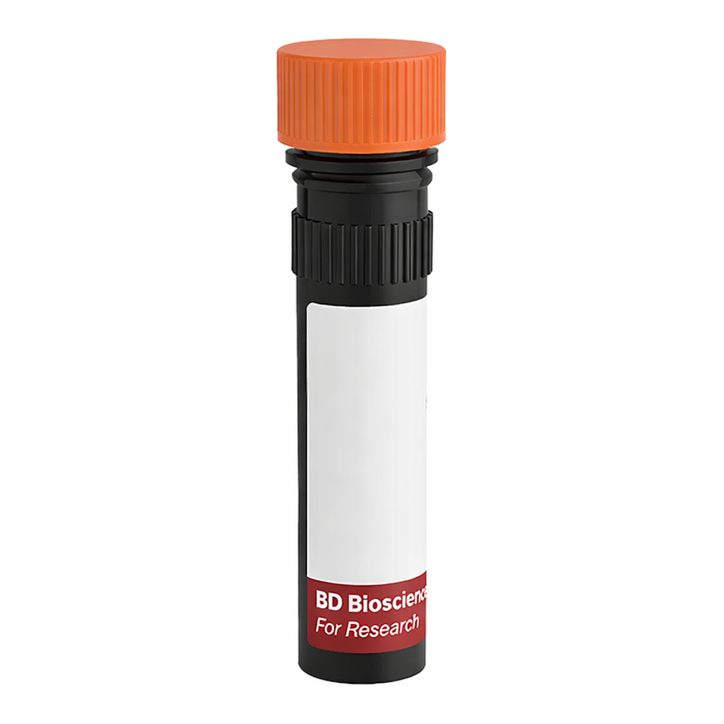 BD RR688 Rat Anti-Mouse IgG2b