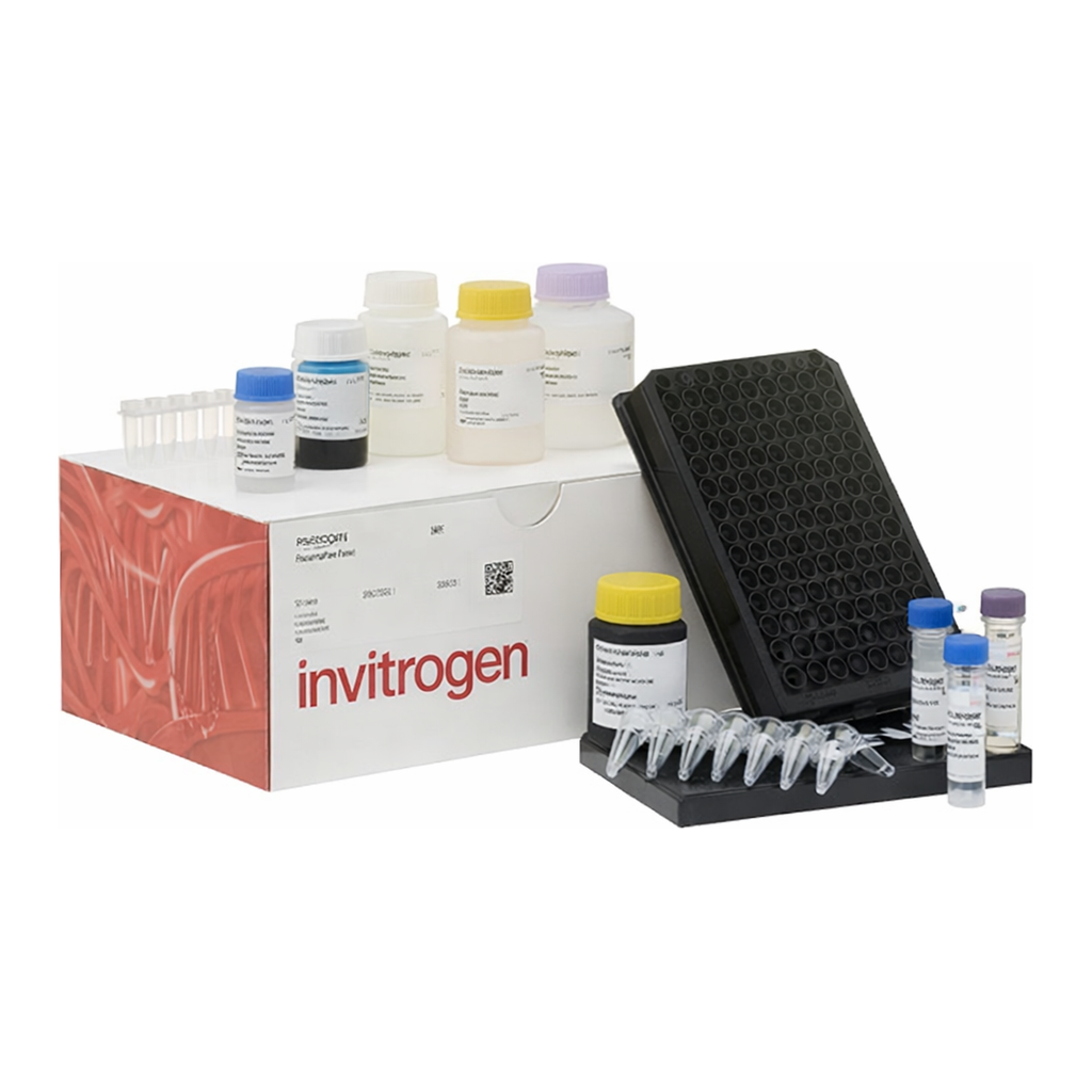 Thermo Fisher Scientific ProcartaPlex Human Neurodegeneration Panel 2, 4plex