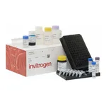 Thermo Fisher Scientific ProcartaPlex Human Neurodegeneration Panel 2, 4plex