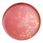 Himedia EMB Agar Base