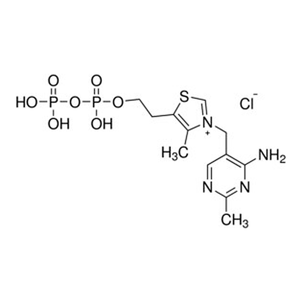 Merck THIAMINE PYROPHOSPHATE