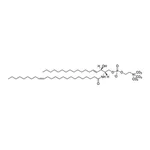 Merck 24:1 SM (d18:1/24:1)-d9