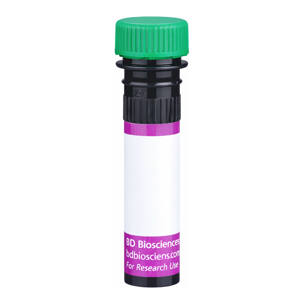 BD BV480 Rat IgG2a, κ Isotype Control