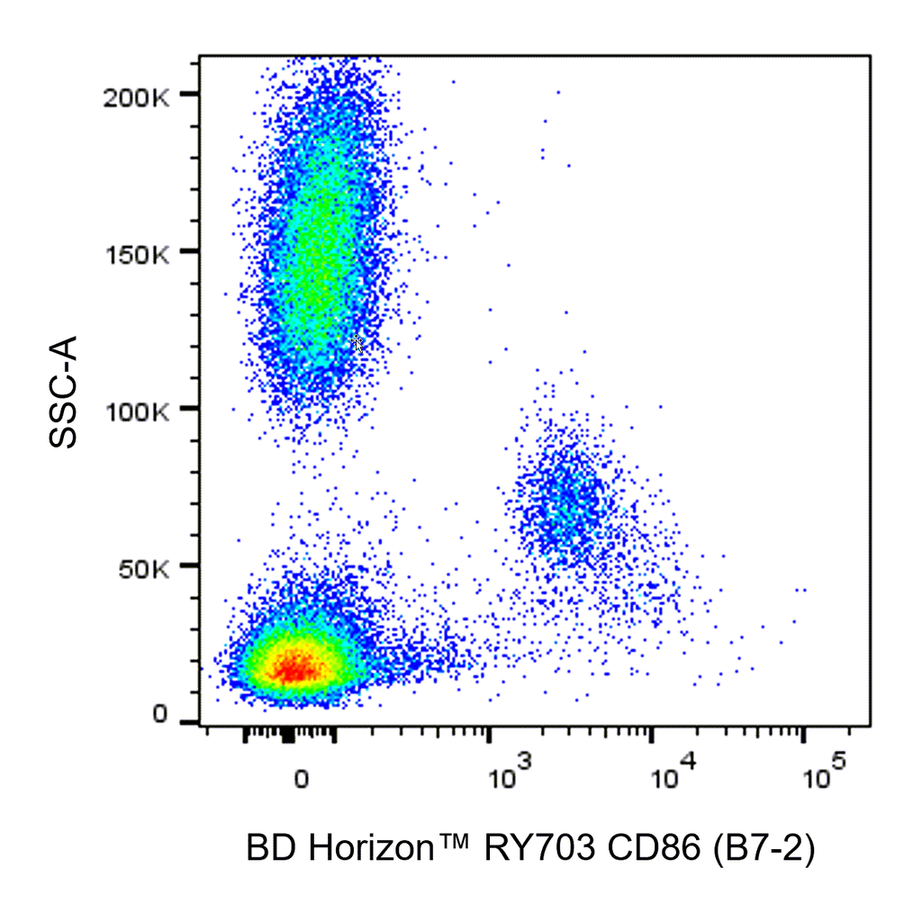 BD RY703 Mouse Anti-Human CD86 (B7-2)