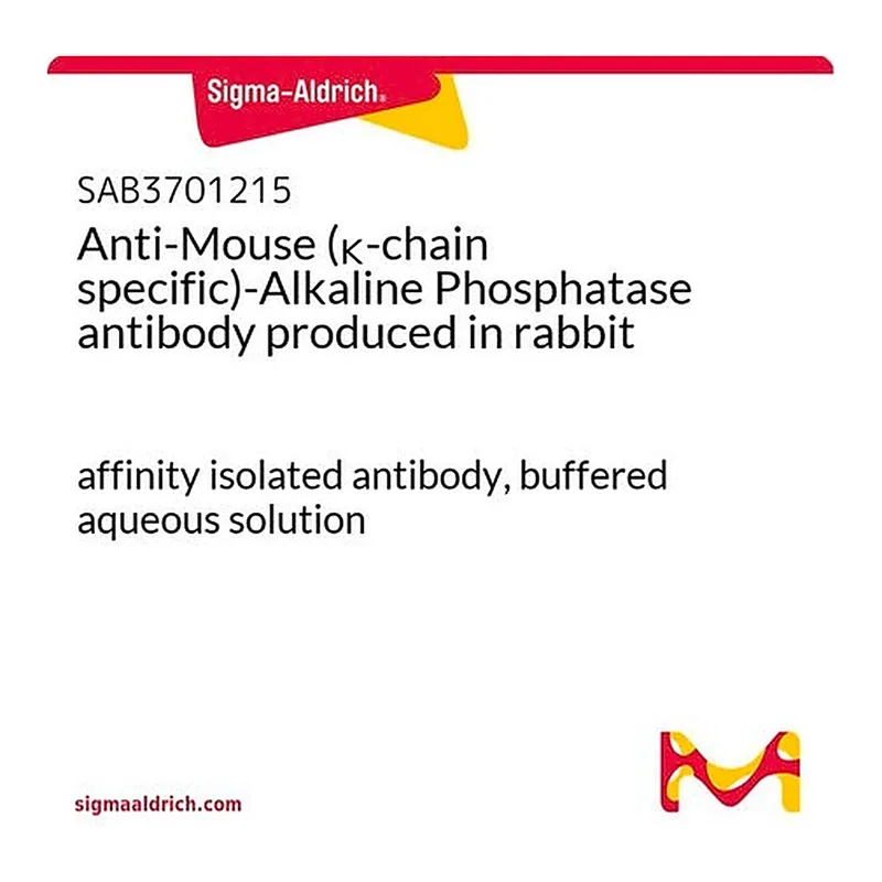Merck Anti-Mouse (kappa-chain specific)-Alkaline Phosphatase antibody produced in rabbit
