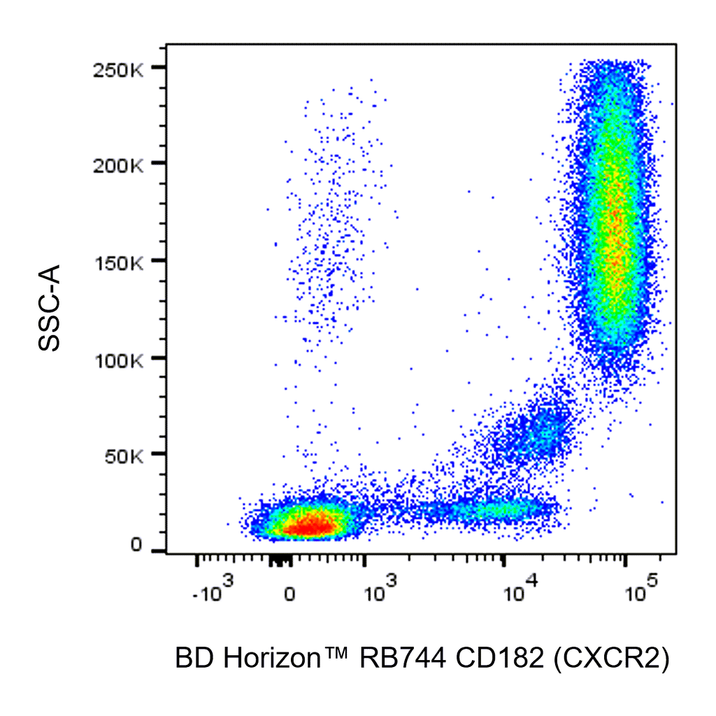 BD RB744 Mouse Anti-Human CD182 (CXCR2)
