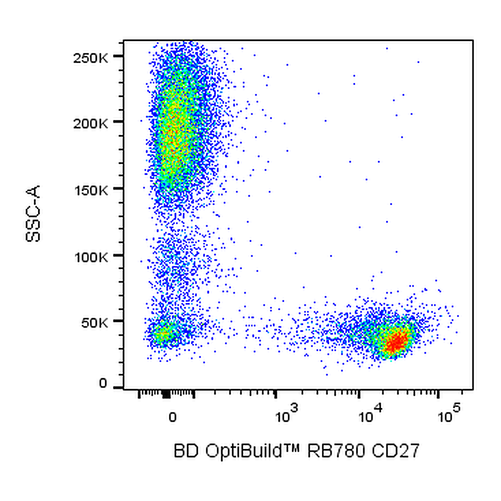 BD RB780 Mouse Anti-Human CD27