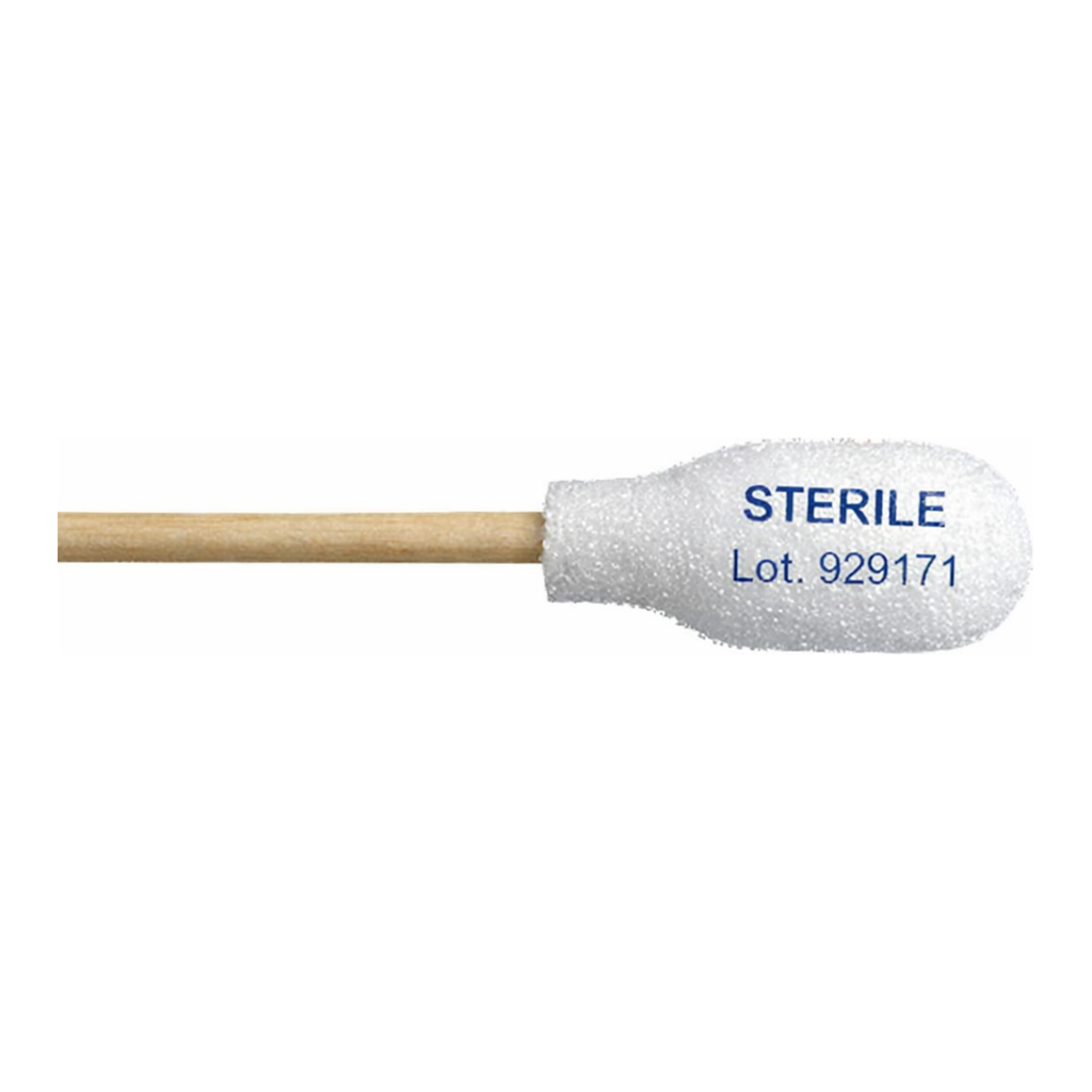 Thermo Fisher Scientific Fisher Branded PurSwab 6 in. Large Foam over Cotton Swab w/Wooden Handle