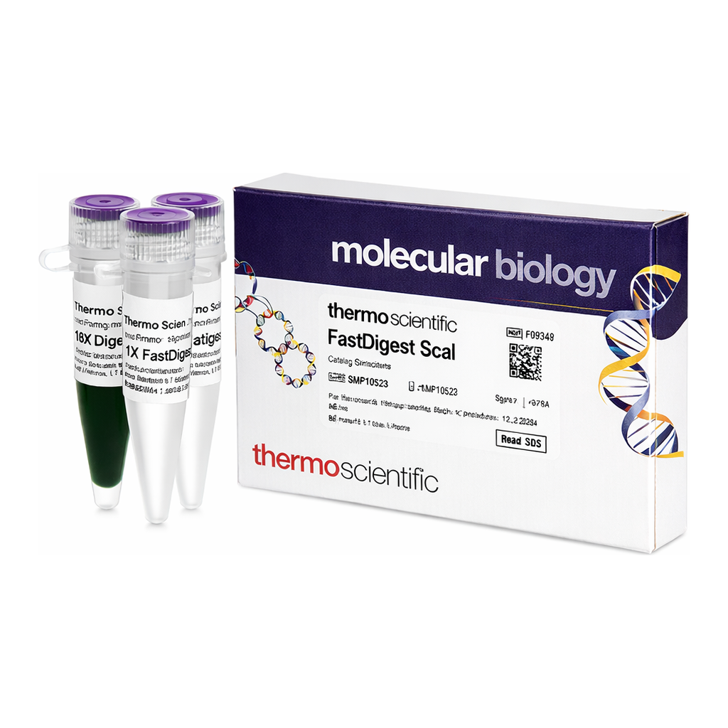 Thermo Fisher Scientific FastDigest ScaI