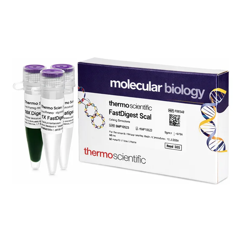 Thermo Fisher Scientific FastDigest ScaI