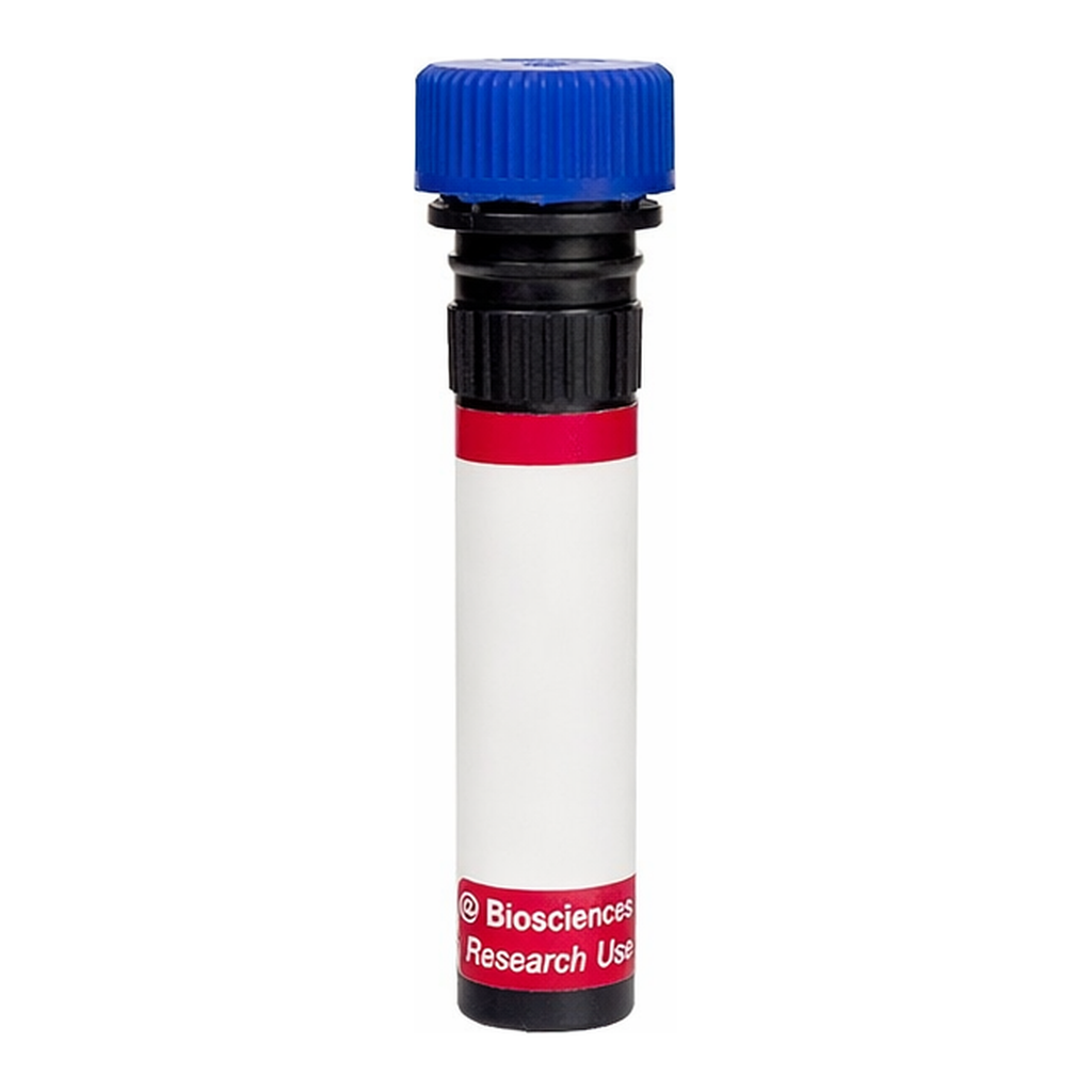 BD R718 Mouse Anti-Human BLTR-1 (Leukotriene B4 Receptor)