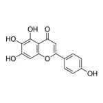 Merck SCUTELLAREIN