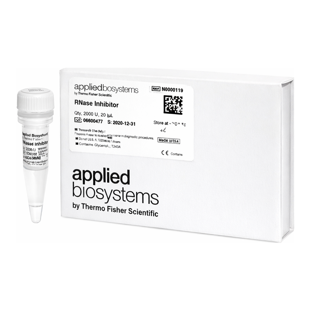 Thermo Fisher Scientific RNase Inhibitor