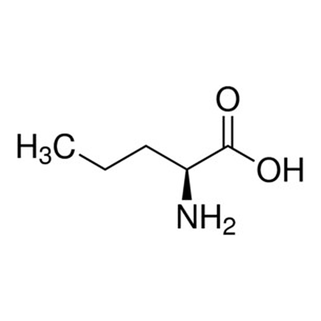 Merck L-NORVALINE. ARGINASE INHIBITOR