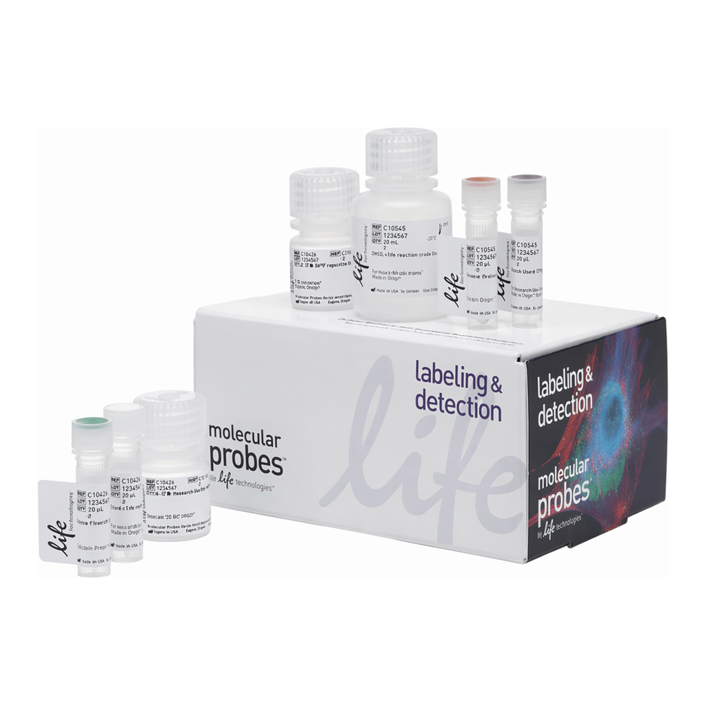 Thermo Fisher Scientific Click-iT Plus OPP Alexa Fluor 594 Protein Synthesis Assay Kit