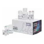 Thermo Fisher Scientific Click-iT Plus OPP Alexa Fluor 594 Protein Synthesis Assay Kit
