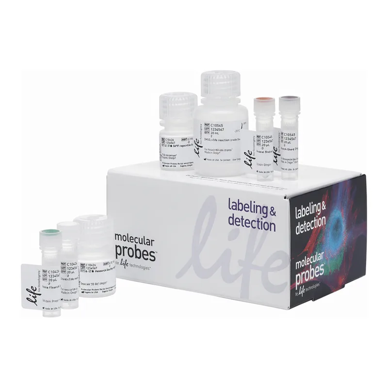 Thermo Fisher Scientific Click-iT Plus OPP Alexa Fluor 594 Protein Synthesis Assay Kit