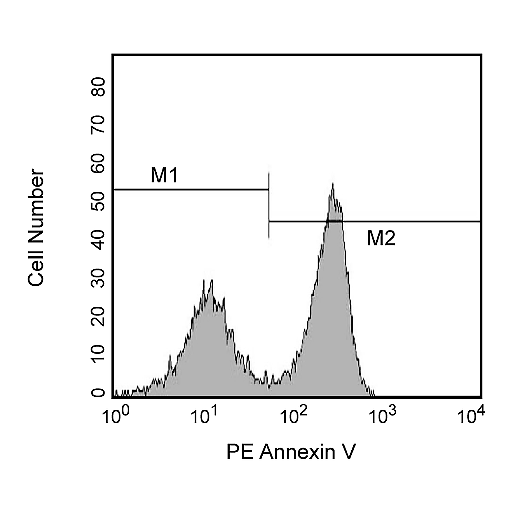 BD PE Annexin V Apoptosis Detection Kit I